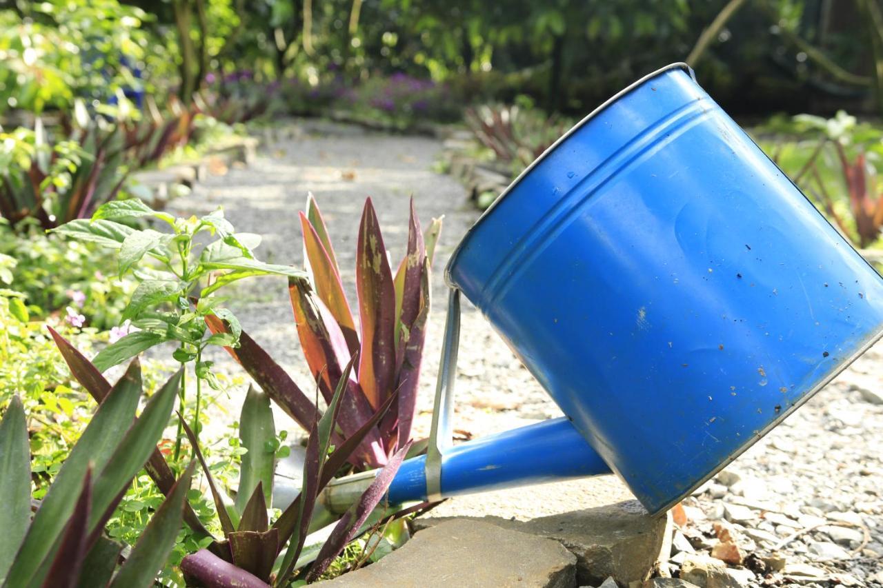 Homestay Vuon Trai Cay Nhiet Doi Vo Uu Garden Bảo Lộc Eksteriør billede