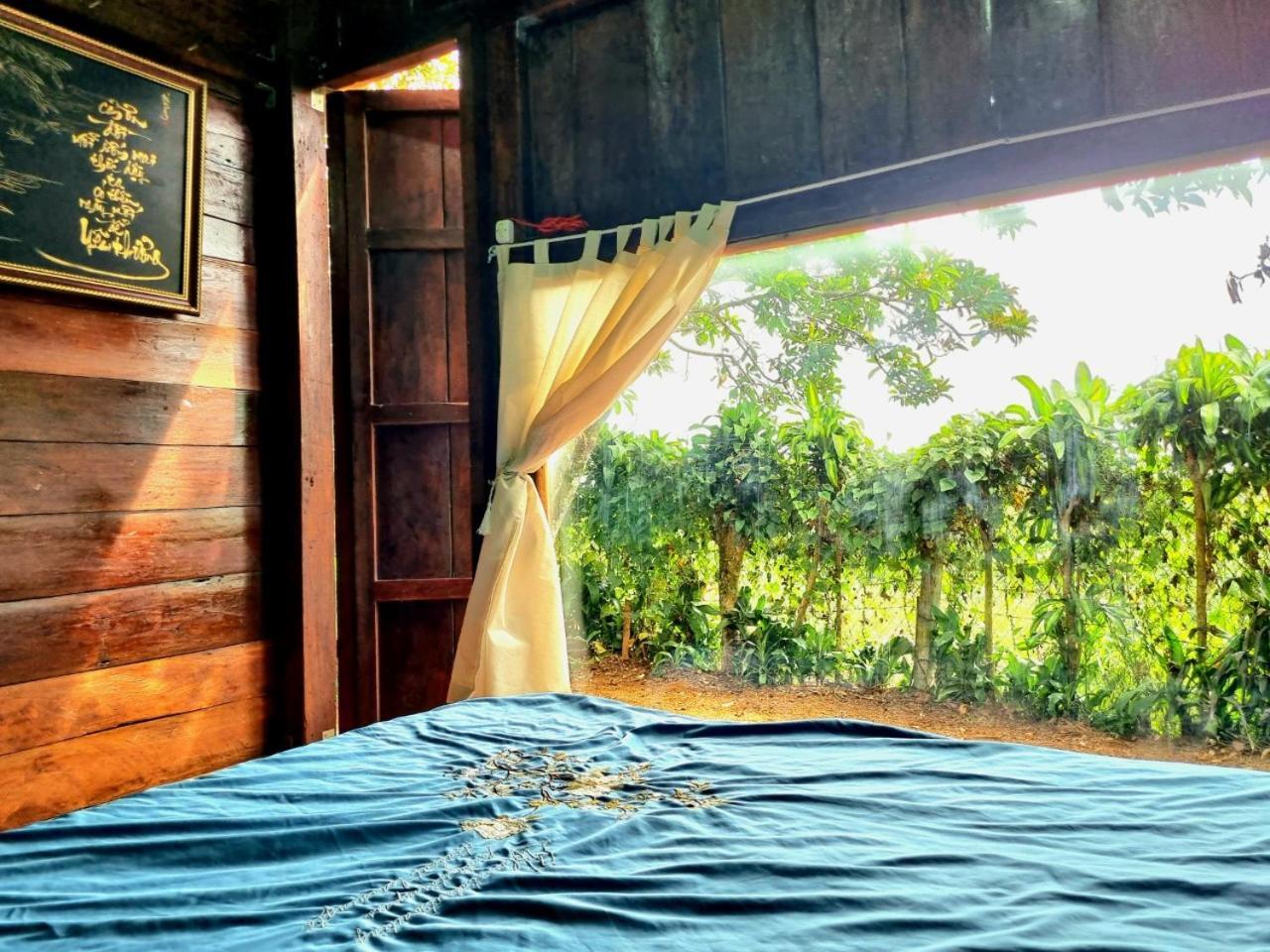 Homestay Vuon Trai Cay Nhiet Doi Vo Uu Garden Bảo Lộc Eksteriør billede