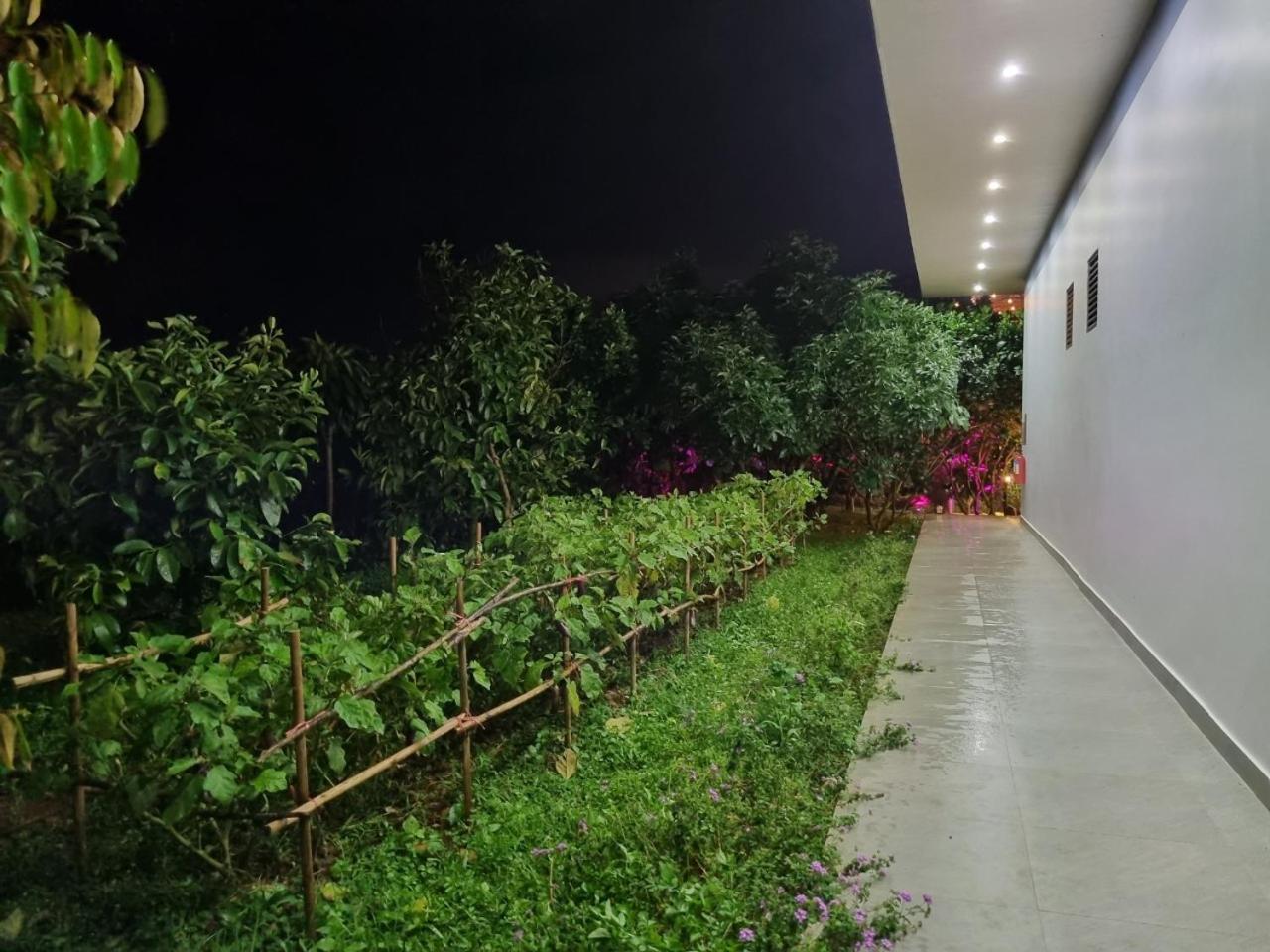 Homestay Vuon Trai Cay Nhiet Doi Vo Uu Garden Bảo Lộc Eksteriør billede