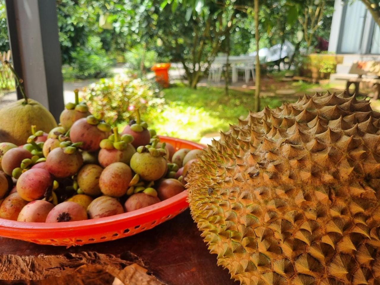 Homestay Vuon Trai Cay Nhiet Doi Vo Uu Garden Bảo Lộc Eksteriør billede