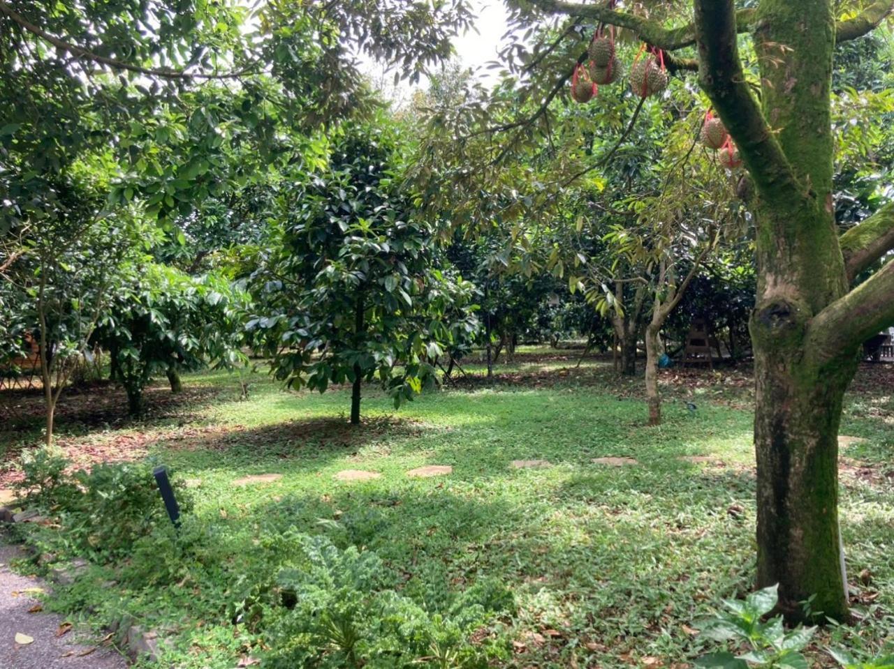 Homestay Vuon Trai Cay Nhiet Doi Vo Uu Garden Bảo Lộc Eksteriør billede