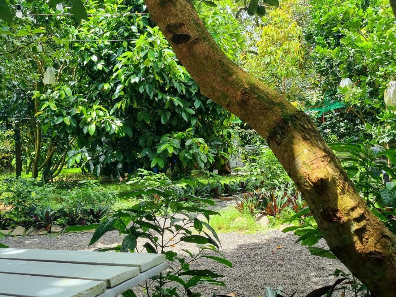 Homestay Vuon Trai Cay Nhiet Doi Vo Uu Garden Bảo Lộc Eksteriør billede