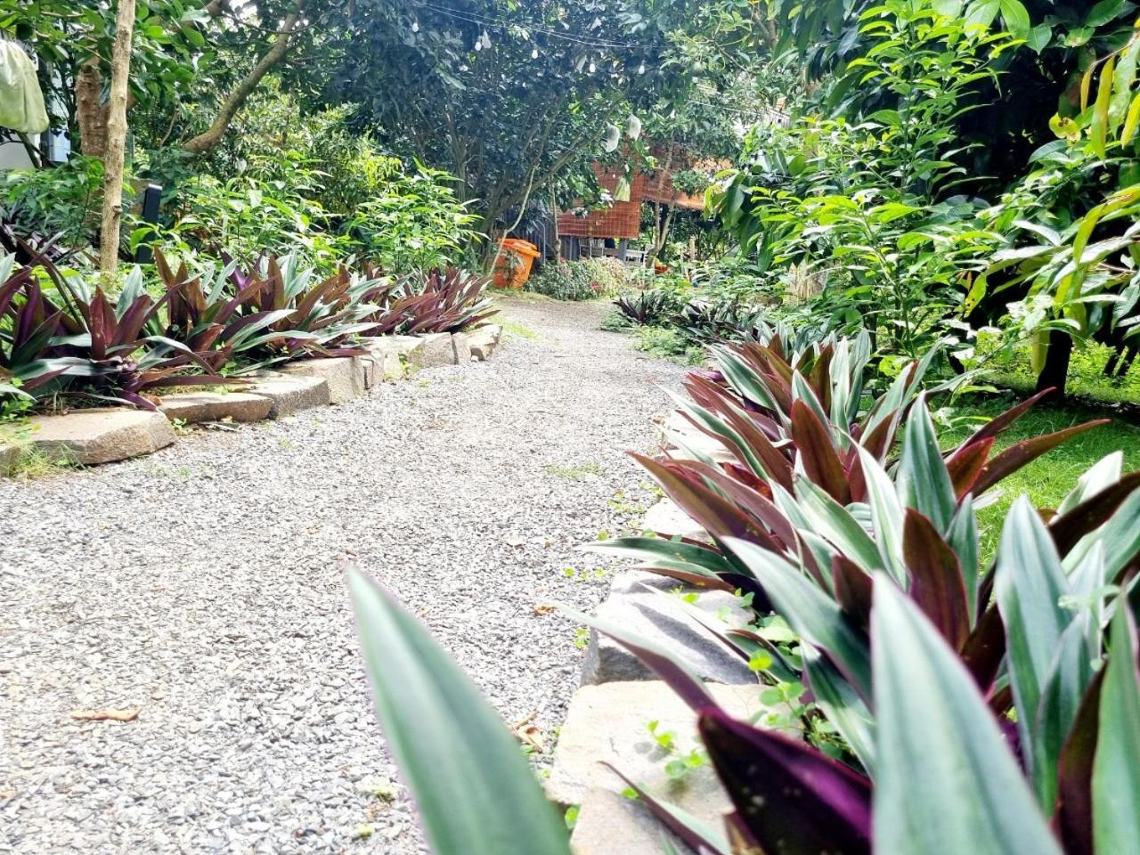 Homestay Vuon Trai Cay Nhiet Doi Vo Uu Garden Bảo Lộc Eksteriør billede