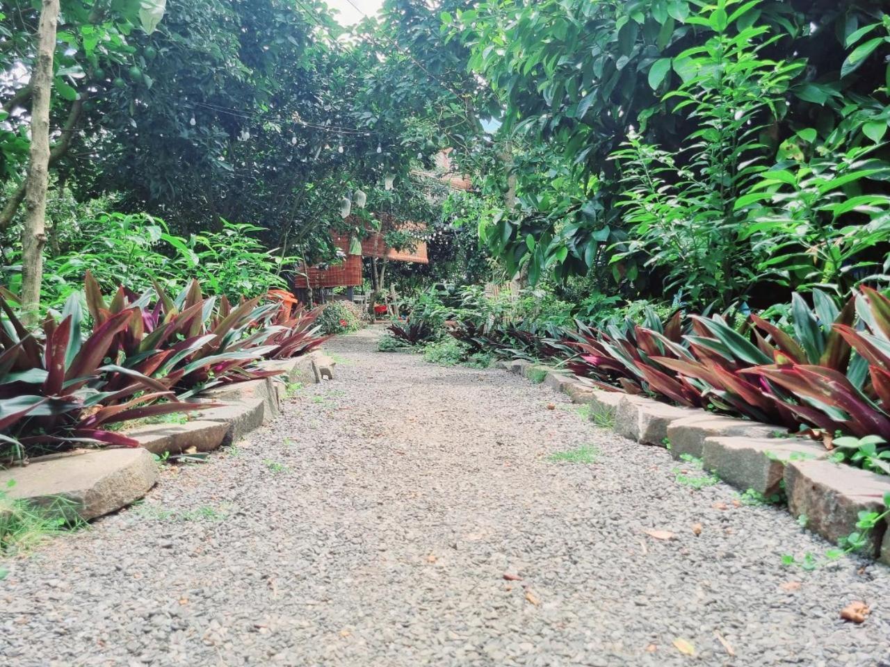 Homestay Vuon Trai Cay Nhiet Doi Vo Uu Garden Bảo Lộc Eksteriør billede
